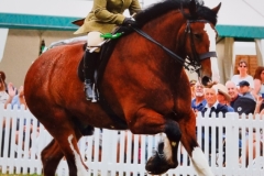 Gemma-McClorey-and-Cotebrook-Sgurr-Alasdair