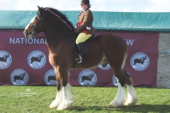 Hollie-Butterworth-and-Acle-Director