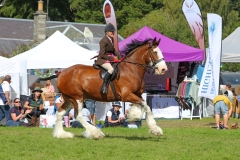 Marion-Maclennan-and-Coulbank-Hamish