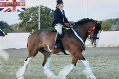 Samie-Caddick-and-Saredon-Elsinore