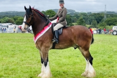 Emma-Green-and-Bordley-House-Norman