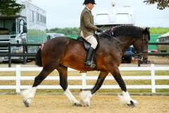 Jamie-Codling-Bradbury-and-Mileaway-Sir-Frankie