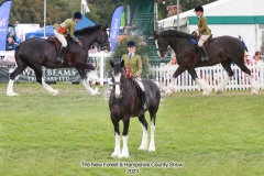 Tracey-Wilton-and-Walton-Black-Velvet