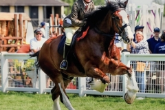 Emma-Green-and-High-View-Charlie