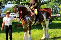 Kaitlyn-Marshall-and-Burgess-Outon-Miracle