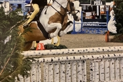 1_Gracie-Aungier-and-Furzley-Hill-Dario