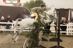 Edward-Mullin-and-Noble-Bannview-Toyboy