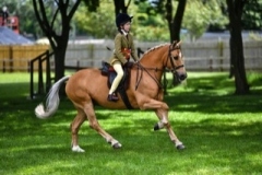 Emilia-Kangurs-and-Bowmount-Rusty