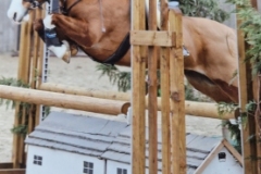 Mati-Davies-and-Synod-Ieuan