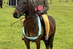 Talia-Davies-and-Cuffnells-golden-rod