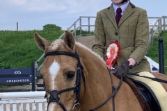 Emilia-Kangurs-and-Bowmount-Rusty