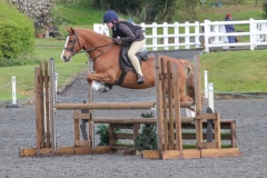 1_Poppy-Cullum-Horse_Pony-Rhoswen-Jimmy