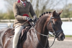 Bluebell-Beechey-Horse_Pony-Annandale-Cufflink