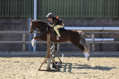 Elizabeth-Rooke-Horse_Pony-Llanai-Renaissance