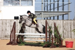 Guy-Hamilton-Horse_Pony-Nellfield-Blueboy