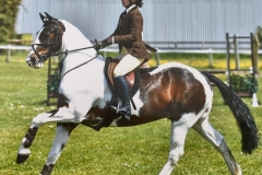 Jemima-Windows-and-Warren-Minimix