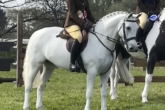 Lilly-Rodgers-and-Dernahatten-Sally