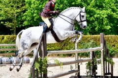 Lilli-aungier-and-Streamside-dapple-dante-