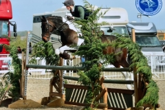 Edward-Mullin-and-Colourville-Viva-Las-Vegas