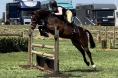 Violet-schaible-and-Nae-boundaries