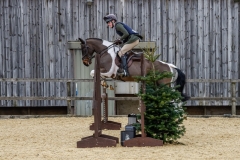 Harry-Mullin-Horse_Pony-Colourville-Viva-Las-Vegas