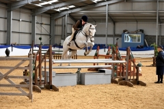 Katie-Russell-Horse_Pony-Golden-Pat