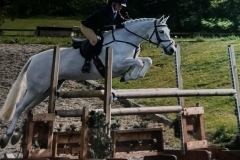 Lottie-Newman-Moore-Horse_Pony-Drummore-May-Dancer