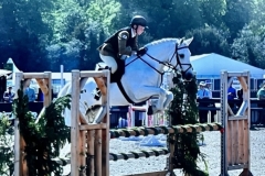 Ollie-Rowlands-Horse_Pony-Dunran-Love-In-The-Mist