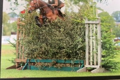 Violet-Schaible-Horse_Pony-Nae-boundaries-Louie