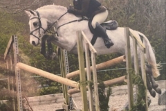 Morgan-lowther-and-Deerpark-millie