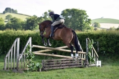 Edward-Mullin-Horse_Pony-LeToki