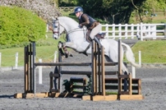 Hariette-Lowther-Horse_Pony-Millstone-warboy