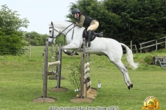 Mara-McKelvie-Horse_Pony-Prince-Charm