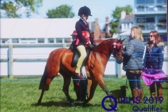 William Hall and Stanley Grange Marina William Hall and Stanley Grange Marina