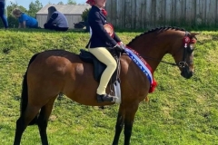 Harriet-Binks-and-Woodview-Ianthe Harriet-Binks-and-Woodview-Ianthe