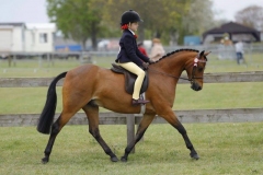 Rose-Cassapi-and-Trevaylor-Toy-Story Rose-Cassapi-and-Trevaylor-Toy-Story