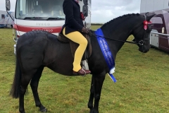 William-Parkin-and-Woodroyd-Celebration William-Parkin-and-Woodroyd-Celebration