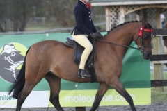 Millie-Binks-and-Woodview-Ianthe Millie-Binks-and-Woodview-Ianthe