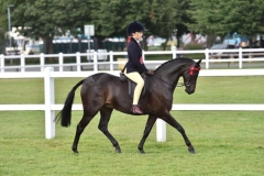 sme-Atkinson-and-Stockhill-Prince-Edward sme-Atkinson-and-Stockhill-Prince-Edward