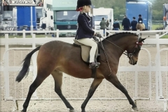 Alice-Hartenfeld-and-Ducketts-Dragonfly