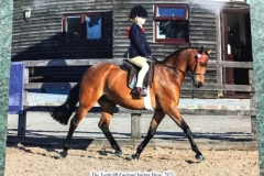 Betsy-May-Allen-and-Wytchwood-Love-Potion