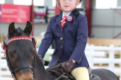 Jessica-Whiteford-and-Hollybush-Toy-Soldier