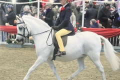 Penelope-Smith-Hyland-and-Rohey-Da-Vinci