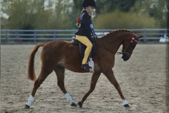 Autumn-Elrin-and-Barkway-Mr-McGregor