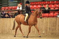 Florence-Milczarek-and-Elmswood-Spring-Fling