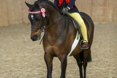 Lottie-Baxter-and-Sandboro-Sugar-Tot