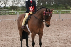 The North Of England Spring Show