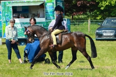 Jessica-Whiteford-and-Hollybush-Toy-Soldier