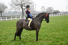 Alexia-Lilley-Horse_Pony-Okewood-Echo