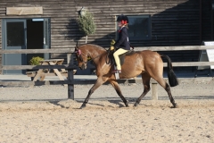 Margot-Hartland-Horse_Pony-Barkway-Alfie-Moon